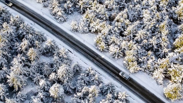 Bretagne : un chasseur fait une macabre découverte en se promenant dans les bois