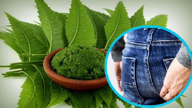 बवासीर का इलाज नीम से हो सकता है क्या ? | Neem can cure piles | Boldsky