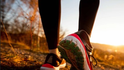 Joggeuse de 17 ans disparue en Mayenne : ce que l'on sait