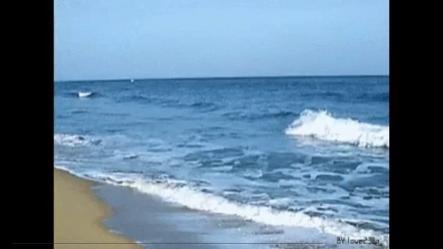 Scandale aux Pays-Bas : de la nourriture contre du sexe, le Koh-Lanta néerlandais fait polémique