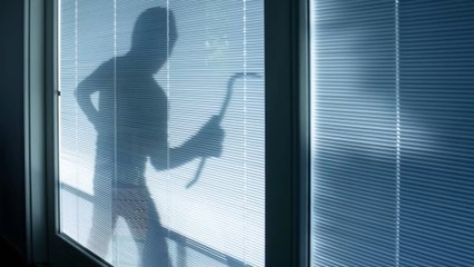 Une femme en détresse appelle les secours et reçoit l'aide de policiers étrangers