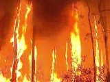 Bushfires ravage communities in Australia