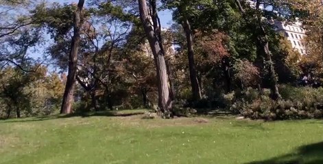 Don't Trust the B---- in Apartment 23 S02 E09