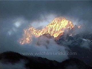 Mt. Pandim and views around Kangchenjunga hidden in the mist!