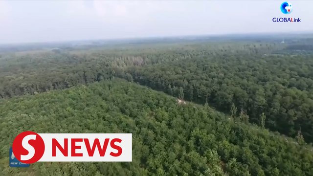 Foresters devote to China's greening campaign