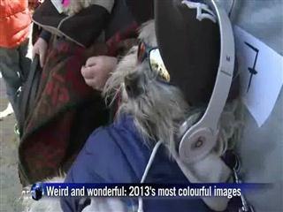 Weird and wonderful: 2013's most colourful images