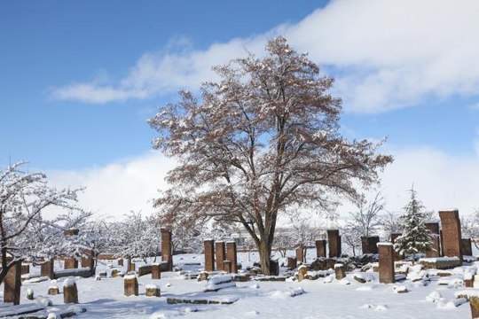 Ahlat'taki Selçuklu Meydan Mezarlığı karla kaplandı