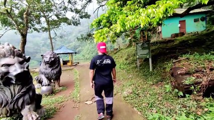Banyak kera di Telaga ini  | TELAGA WARNA PUNCAK BOGOR