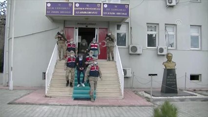 DİYARBAKIR - Terör operasyonunda bir şüpheli tutuklandı