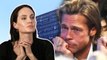 Brad Pitt is disappointed that Angelina Jolie's career is not affected by the lawsuit