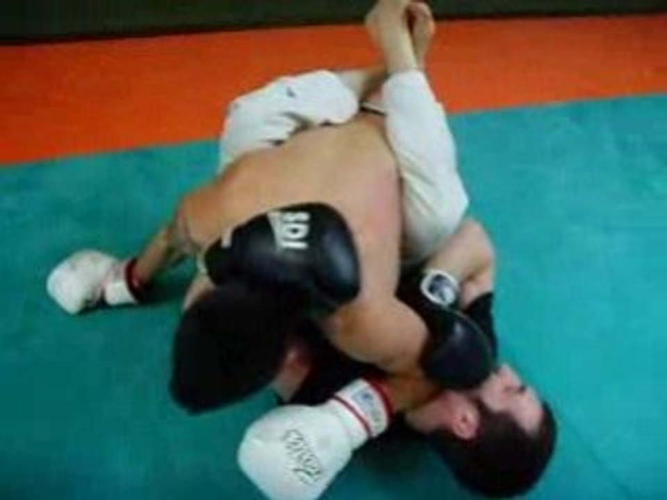 andré vs sham ( anaconda lyon )