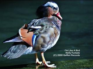 Hujung Minggu Bersama Suhaimi Sulaiman