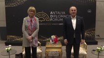 Çavuşoğlu, Avrupa Konseyi Genel Sekreteri Buric ile görüştü