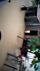 fortes chuvas em Várzea Alegre