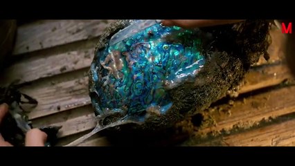A Boy Discovers A Mysterious Egg That Hatches A Sea Creature Of Scottish legend. The Water Horse