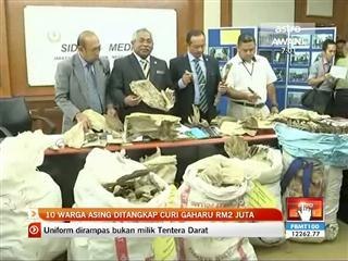 10 warga asing ditangkap curi gaharu RM2 juta