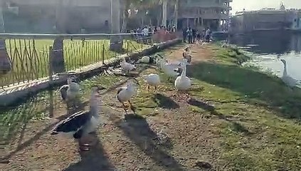 Bird Watching - पक्षियों के सतरंगी संसार से रूबरू हुए बच्चे, देखें Video...