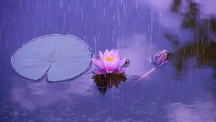 Tertidur Dalam 3 Menit Dengan Suara Hujan