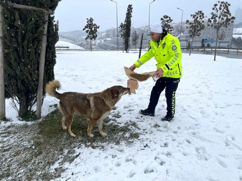 İstanbul polisi hem yolda kalanlara yardım etti, hemde sokak hayvanlarını besledi