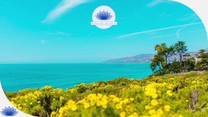 Aurore Paisible et Jardin Secret en DUO - Musiques Bien-être et Relaxante.