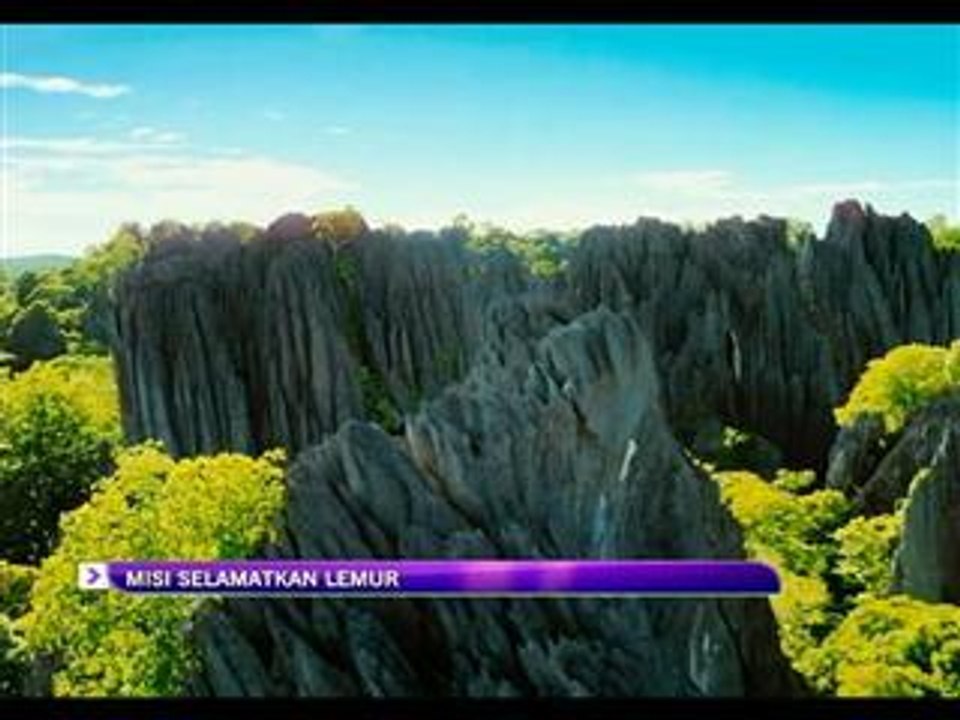 Misi selamatkan lemur dalam 'Island Of Lemurs: Madagascar'