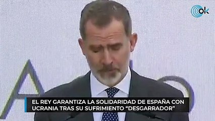 El Rey garantiza la solidaridad de España con Ucrania tras su sufrimiento "desgarrador"