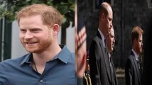'Just thrown toys out of pram!' Prince Harry's UK security row dismantled 'He'd have it'