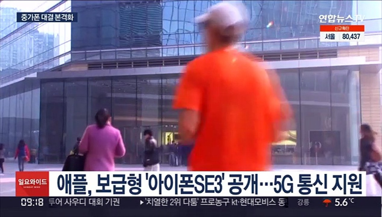 다시 맞선 삼성·애플…이번엔 보급형 스마트폰 경쟁