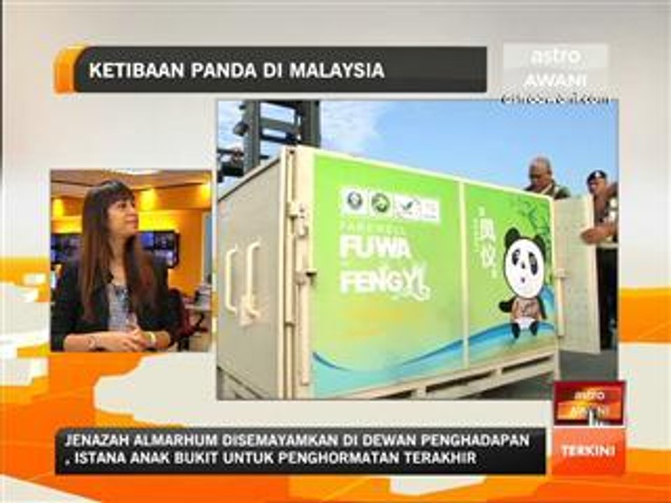Ketibaan panda di Malaysia