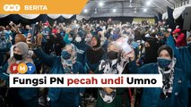 Fungsi PN hanyalah pecah undi Umno, kata penganalisis