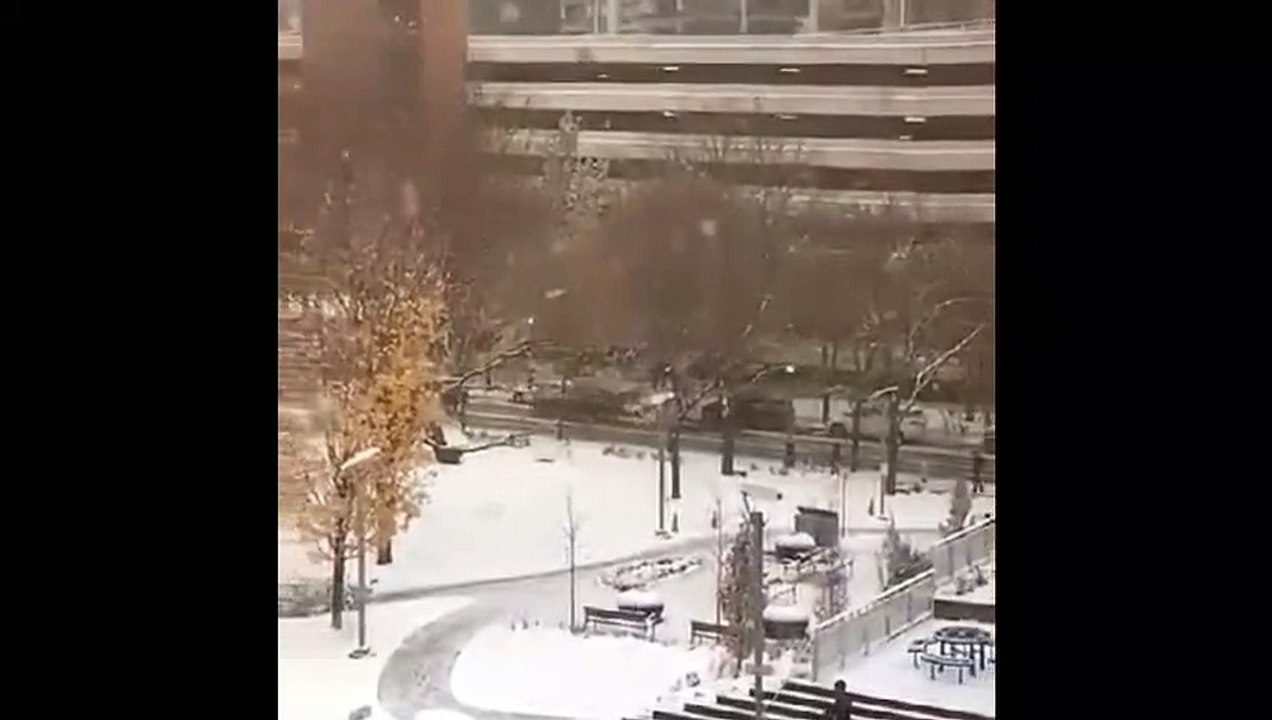 Heavy Snow in Toronto,Canada