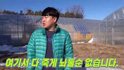 돌 밑에 상상초월 엄청난 물고기들~!! 빨리 잡아야 한다 ~!! _Save freshwater fish from the drying river.