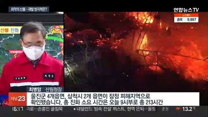 동해안 산불로 서울 면적 40% 잿더미…"산림 구조 바꿔야"