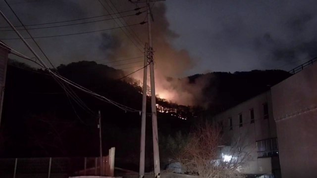 경남 김해 산불 4시간 만에 진화...0.2㏊ 소실 / YTN