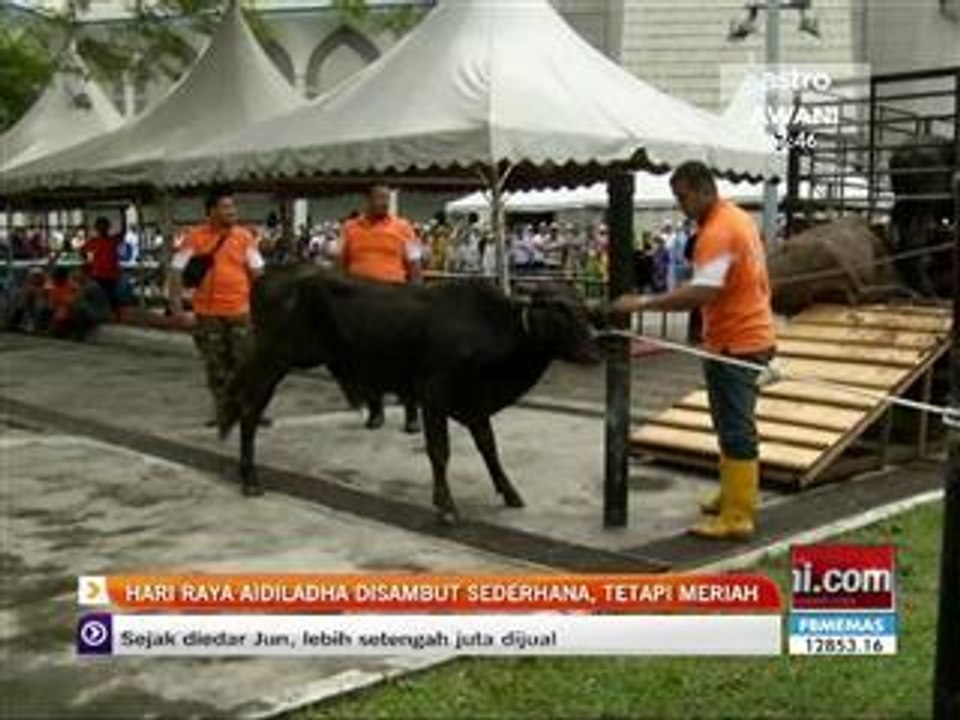 Hari Raya Aidil Adha di sambut sederhana, tetapi meriah