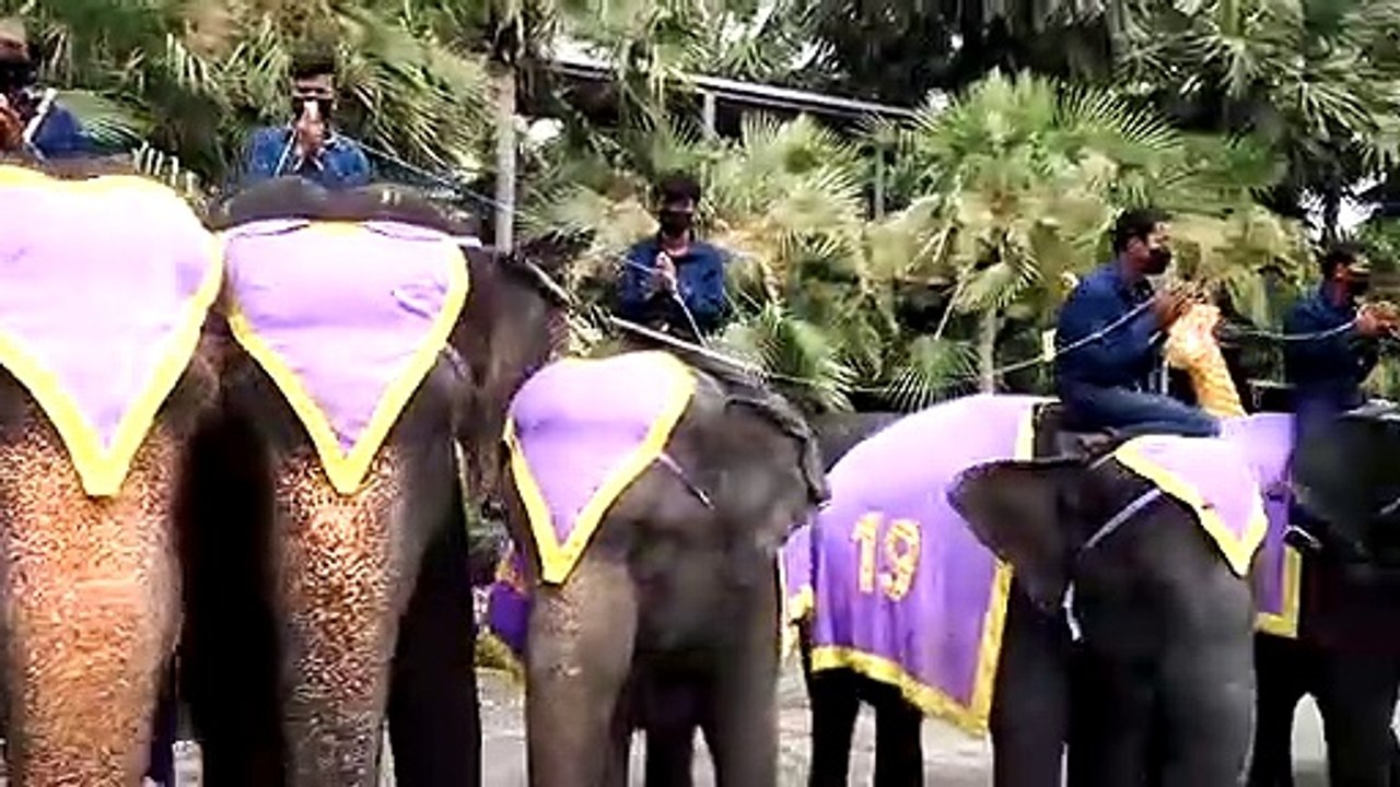 สวนนงนุชพัทยา ร่วมกับ เอกอัครราชทูต 3 ประเทศ จั...