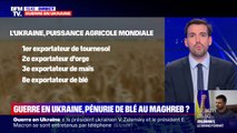 Guerre en Ukraine: une pénurie de blé menace le monde et plus particulièrement le Maghreb