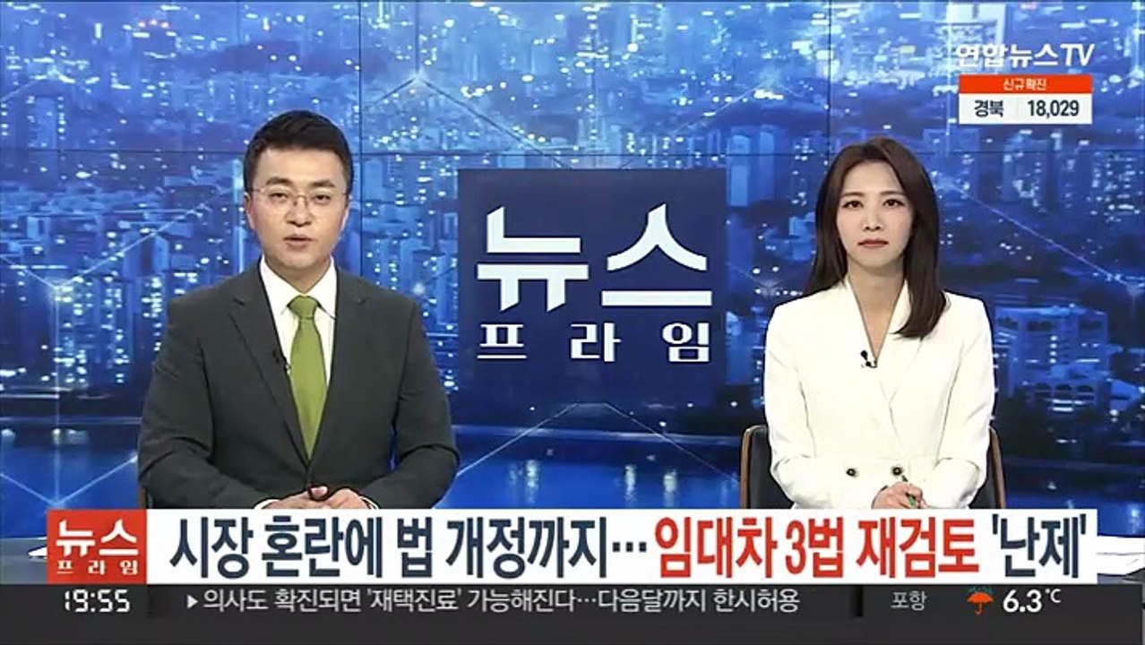 시장 혼란에 법 개정까지…임대차 3법 재검토 '난제'