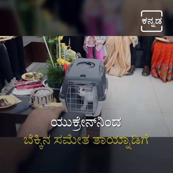 Indian Student Who Was Stuck in The Ukraine War Returns Home Along With Cat.