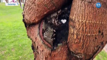 Bu Kış Yağan Kar Gaziantep'te Kuraklığı Giderdi