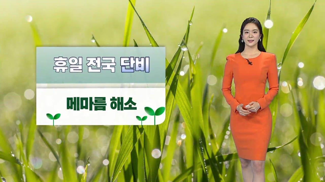 [날씨] 단비 내리며 전국 건조특보 모두 해제...내일도 비 / YTN