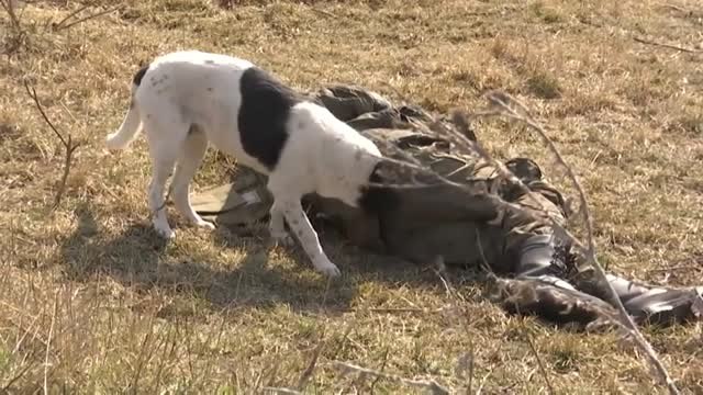 Darina, una ucraniana escondida en Kiev: En estos momentos te despides de la vida