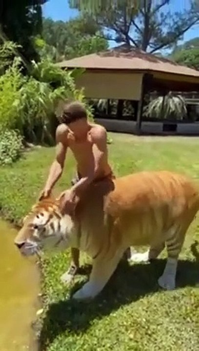 funniest animal video of the year 2022~animal funny moments