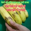 How to keep banana fresh for a week I इस ट्रिक से केले को रखें लंबे समय तक फ्रेश