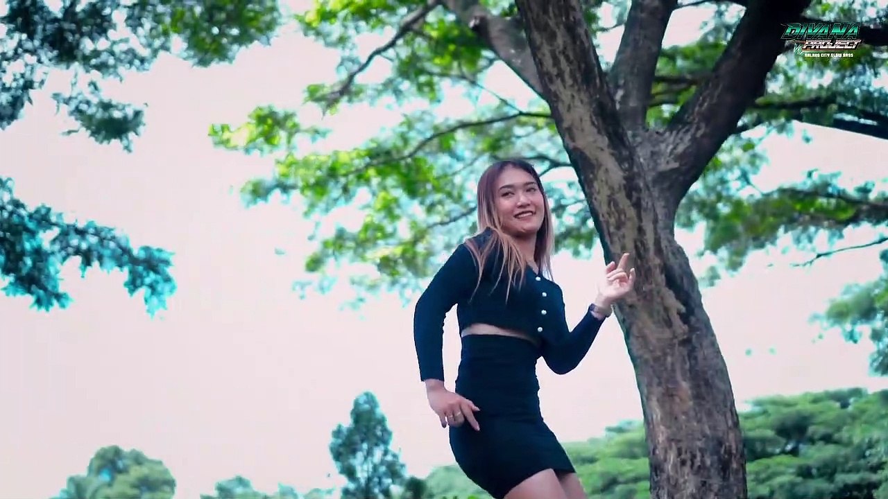 Dj 69 Project Riski Irvan Nanda Dj Terbaru Divana Project