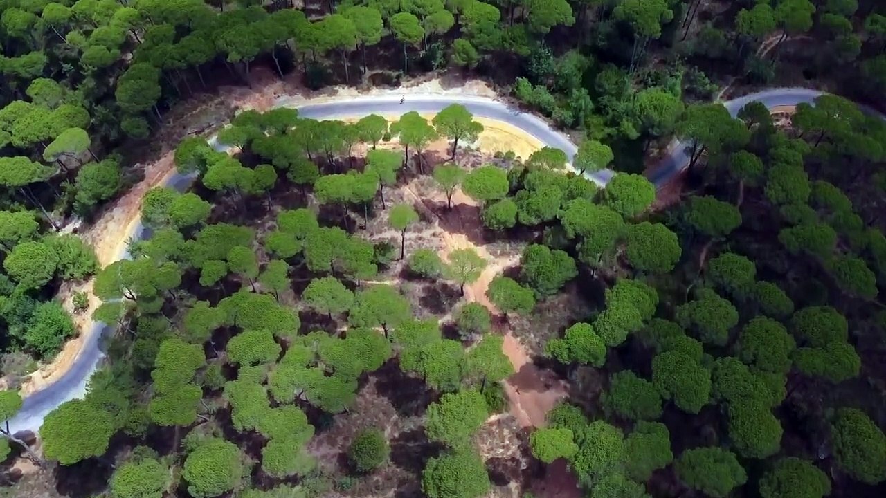 Relaxing Music with Nature Sounds, Forest Music, Sleep Music, Meditation Music Part 2