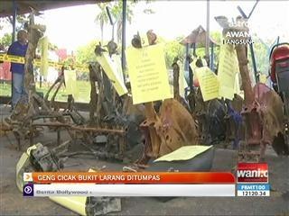 Geng Cicak Bukit Larang ditumpas