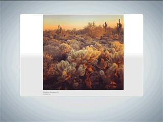 Apple terus enggan dilihat sebagai syarikat teknologi biasa