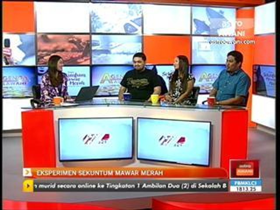 Eksperimen Sekuntum Mawar Merah