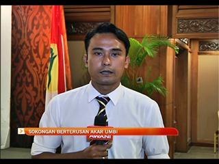 Sokongan berterusan akar umbi